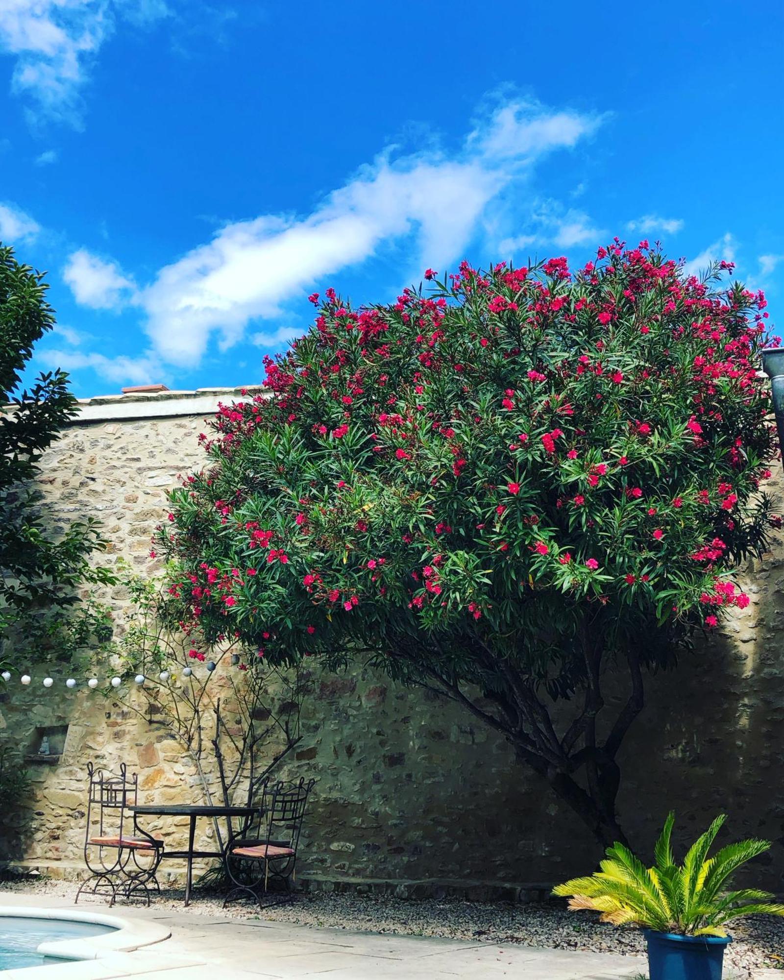 Maison Des Bourgades Saint-Julien-de-Peyrolas ภายนอก รูปภาพ